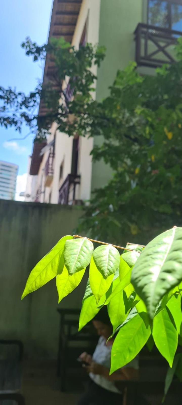 Hotel Pedra Da Concha 살바도르 외부 사진
